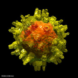 Adeno-Associated Virus. (Register and log in to see discounts)